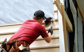 Best Steel Siding Installation  in Daisetta, TX